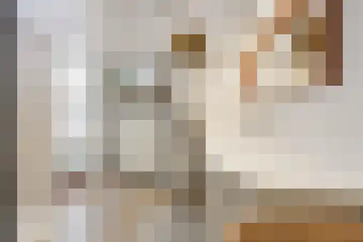 Vriezeweg 22 Deest thumbnail 19