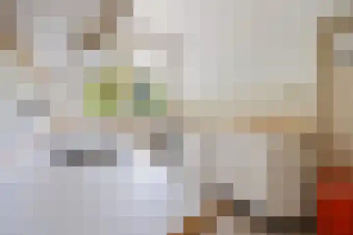 Vriezeweg 22 Deest thumbnail 21