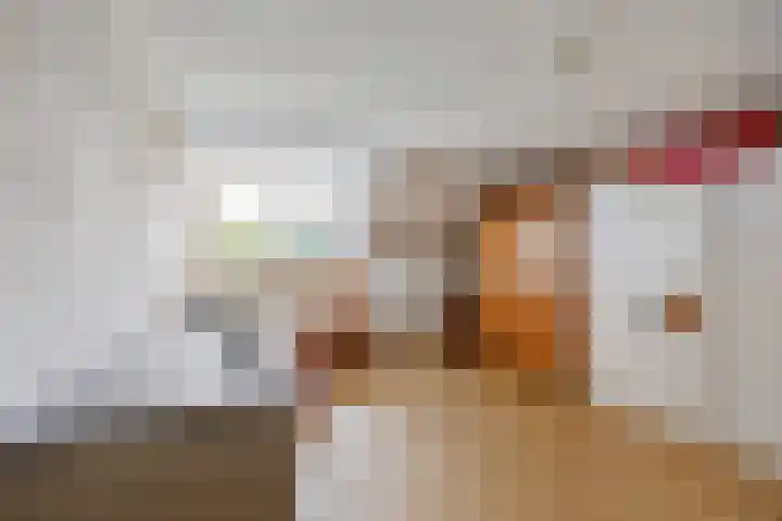 Vriezeweg 22 Deest thumbnail 26
