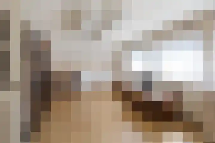 Vriezeweg 22 Deest thumbnail 28
