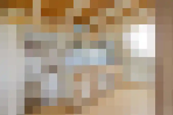 Vriezeweg 22 Deest thumbnail 29