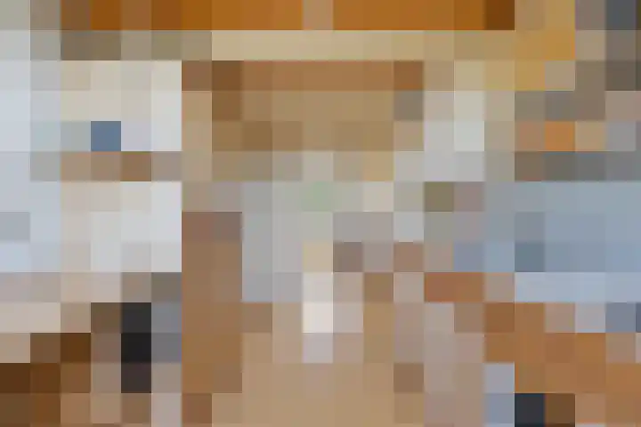 Vriezeweg 22 Deest thumbnail 31
