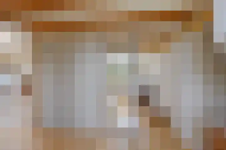 Vriezeweg 22 Deest thumbnail 32