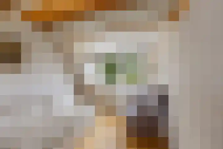 Vriezeweg 22 Deest thumbnail 33