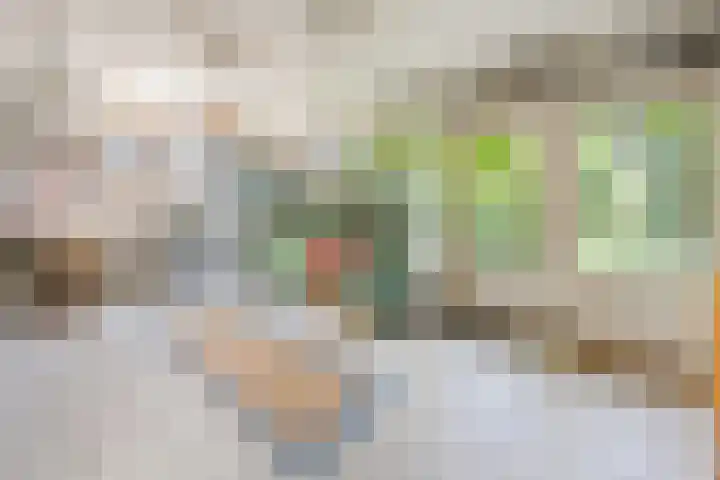 Vriezeweg 22 Deest thumbnail 37