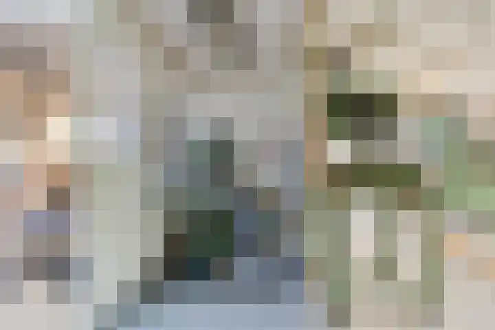Vriezeweg 22 Deest thumbnail 38