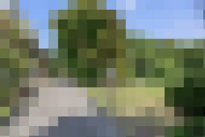 Vriezeweg 22 Deest thumbnail 4