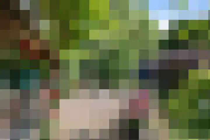 Vriezeweg 22 Deest thumbnail 42