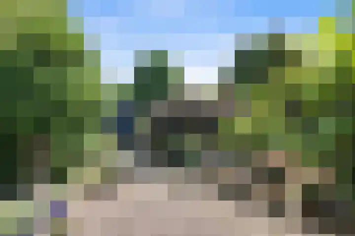 Vriezeweg 22 Deest thumbnail 43