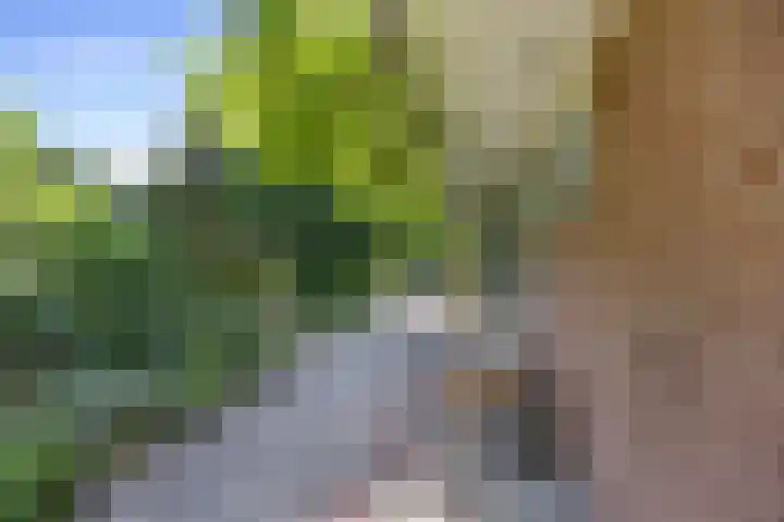 Vriezeweg 22 Deest thumbnail 44