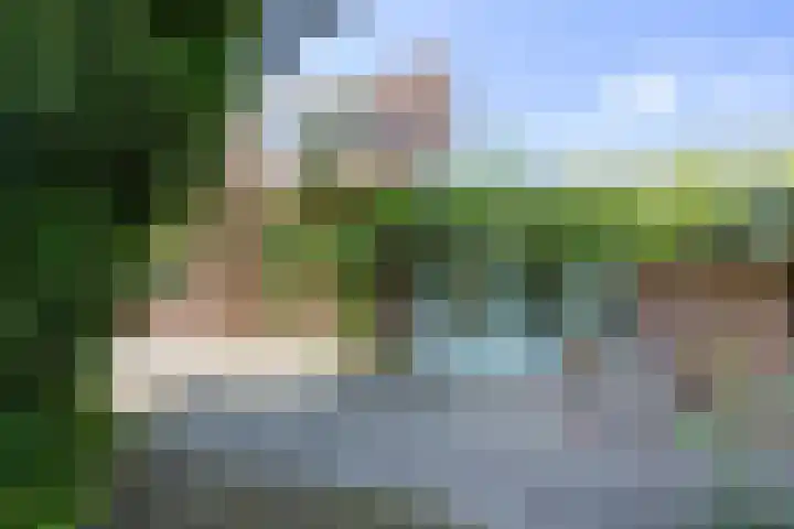 Vriezeweg 22 Deest thumbnail 45