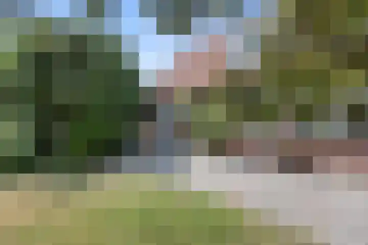 Vriezeweg 22 Deest thumbnail 46