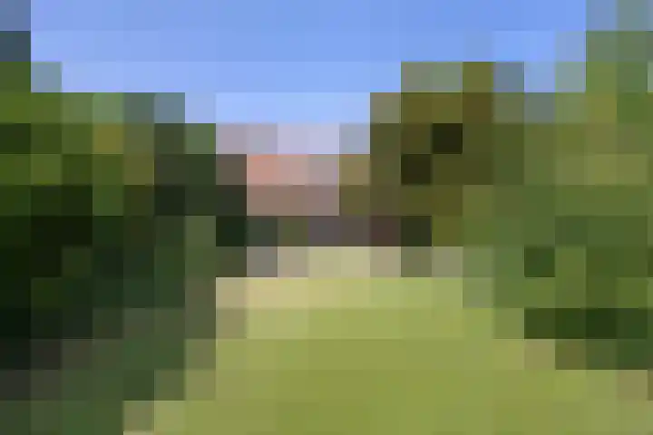Vriezeweg 22 Deest thumbnail 47