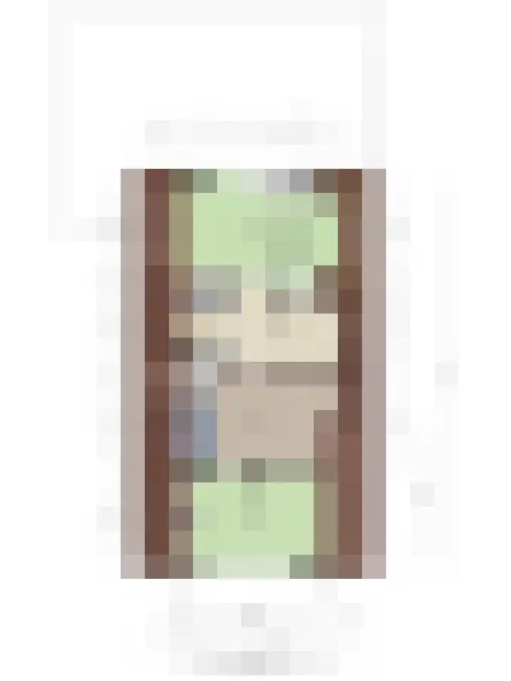 Vriezeweg 22 Deest thumbnail 51