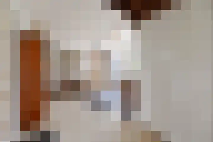 Vriezeweg 22 Deest thumbnail 8