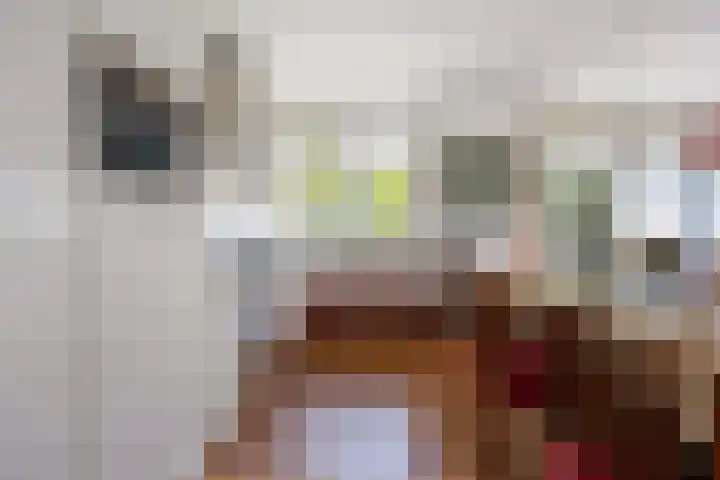 Vriezeweg 22 Deest thumbnail 9