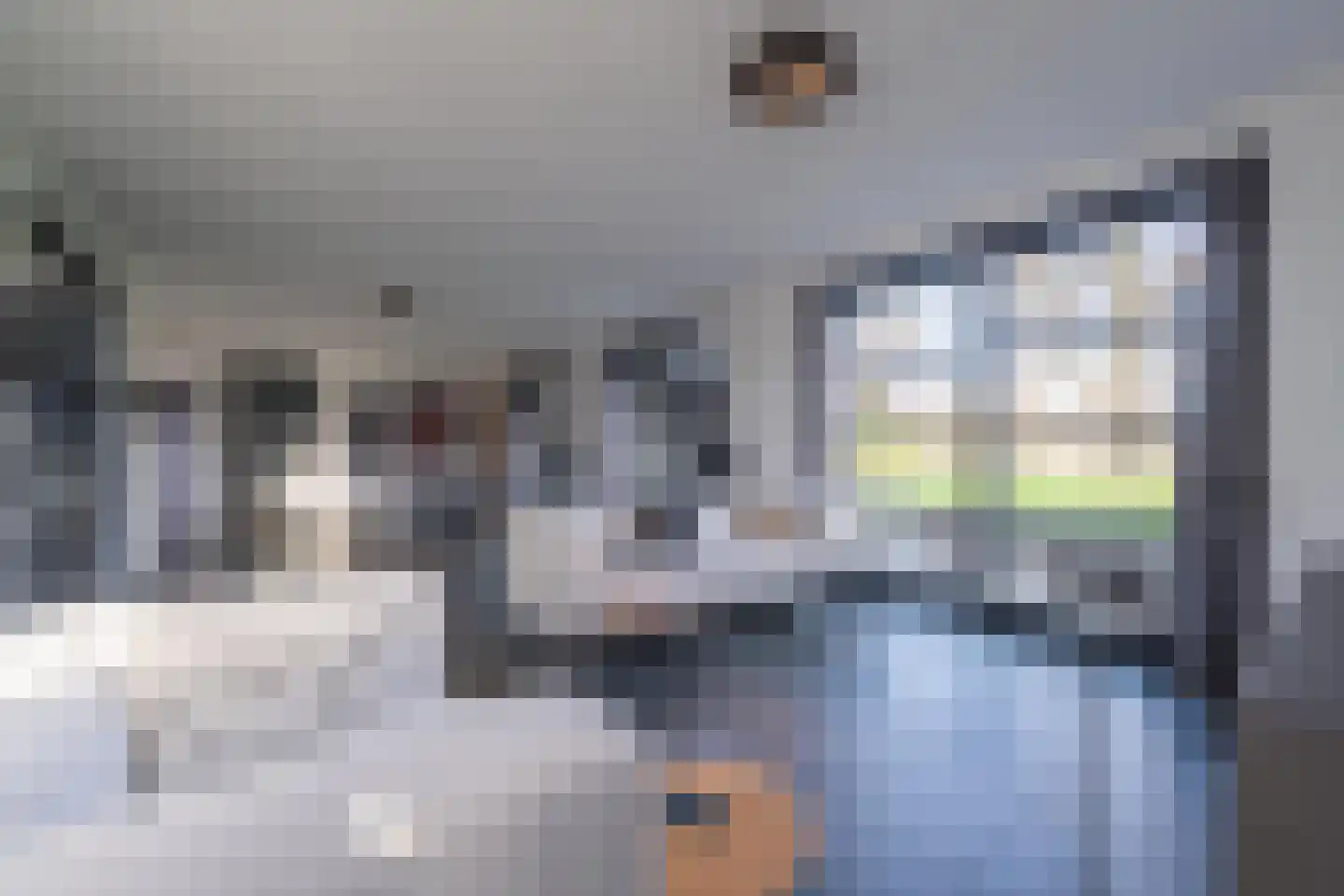 Vriezeweg 38 Deest thumbnail 12