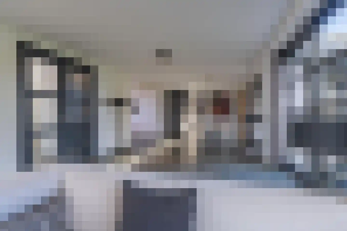 Vriezeweg 38 Deest thumbnail 14