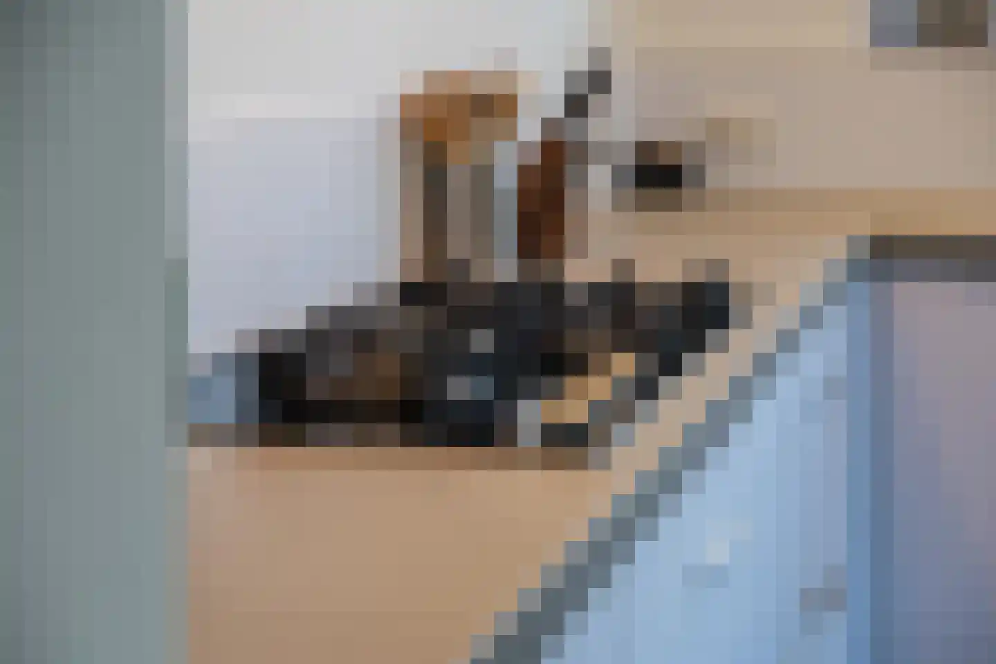 Vriezeweg 38 Deest thumbnail 21
