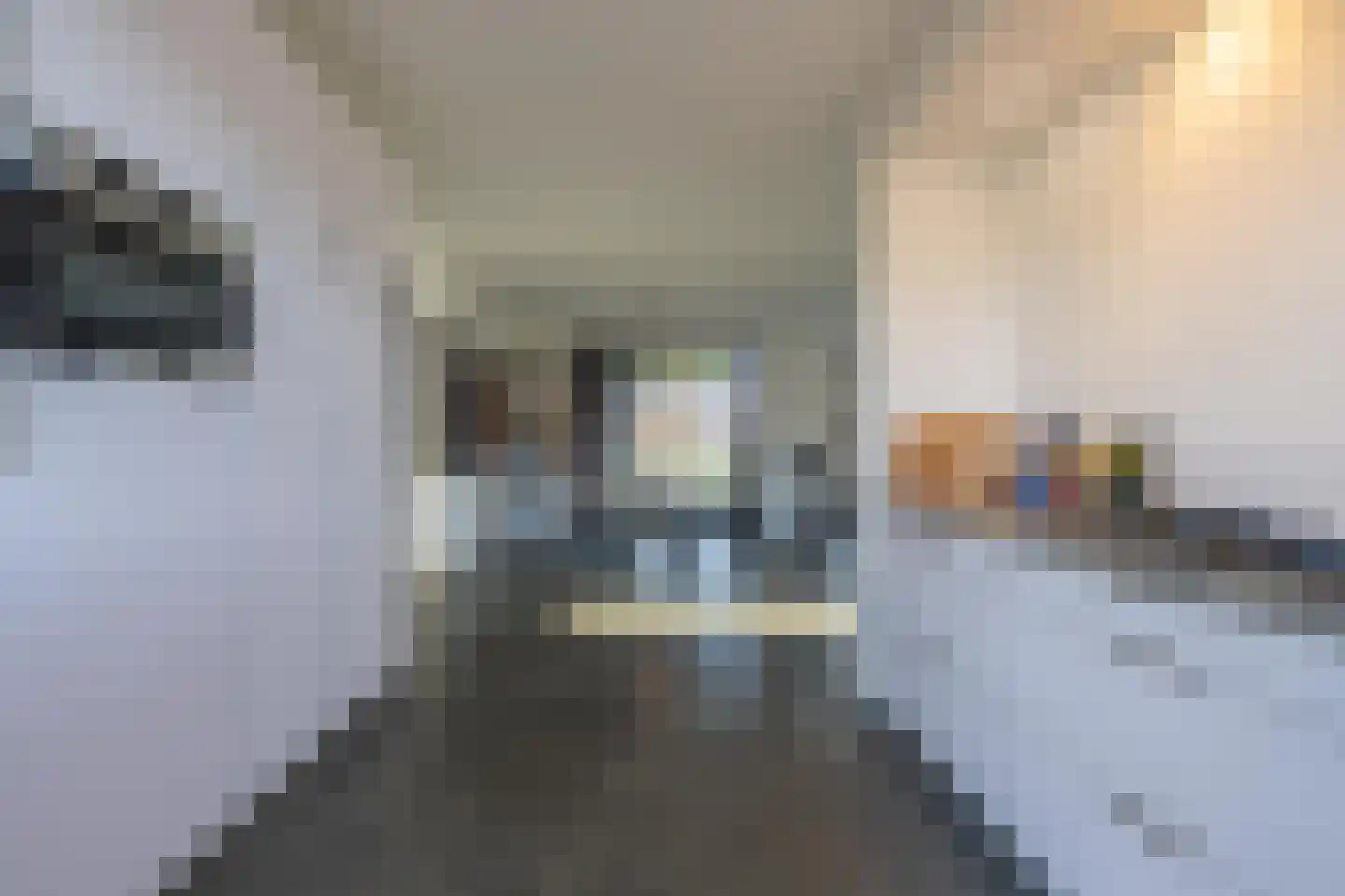 Vriezeweg 38 Deest thumbnail 24