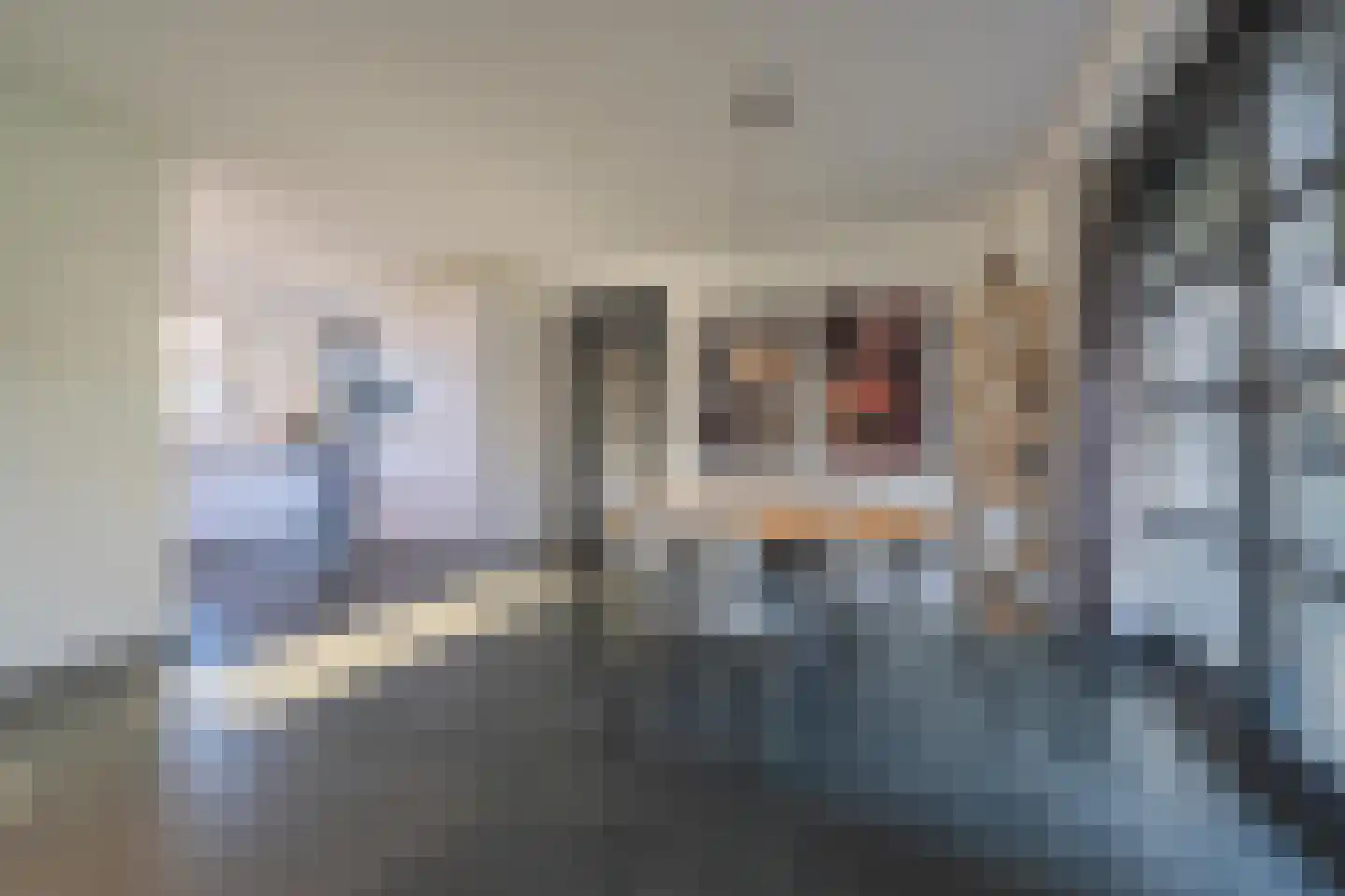 Vriezeweg 38 Deest thumbnail 27