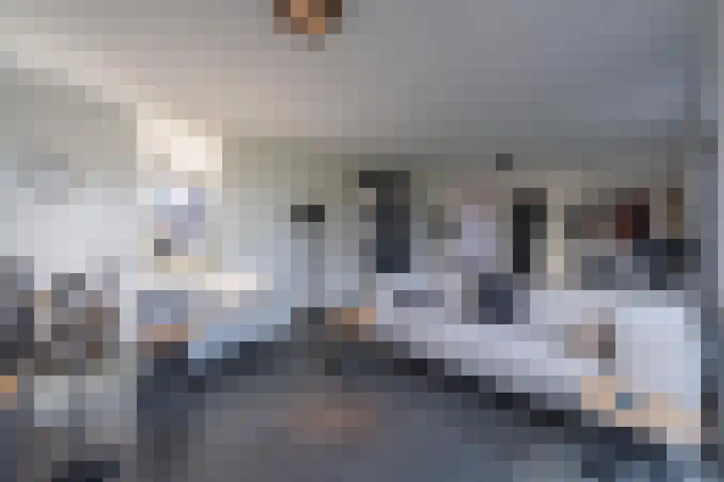 Vriezeweg 38 Deest thumbnail 28