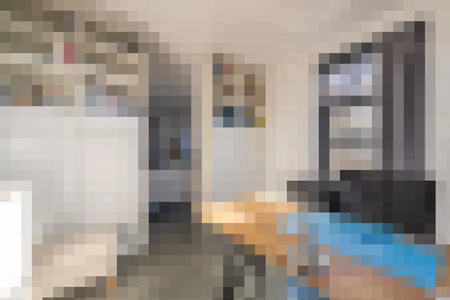 Vriezeweg 38 Deest thumbnail 30