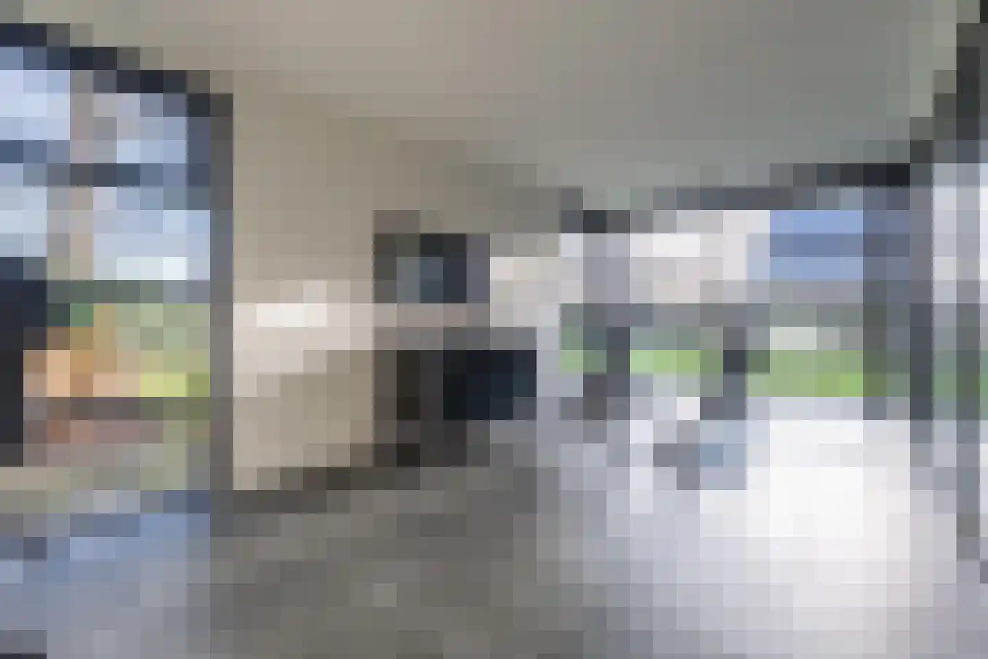 Vriezeweg 38 Deest thumbnail 35