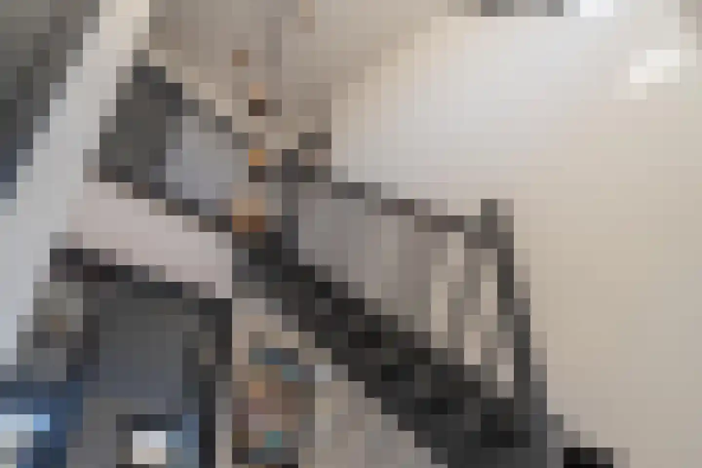 Vriezeweg 38 Deest thumbnail 43
