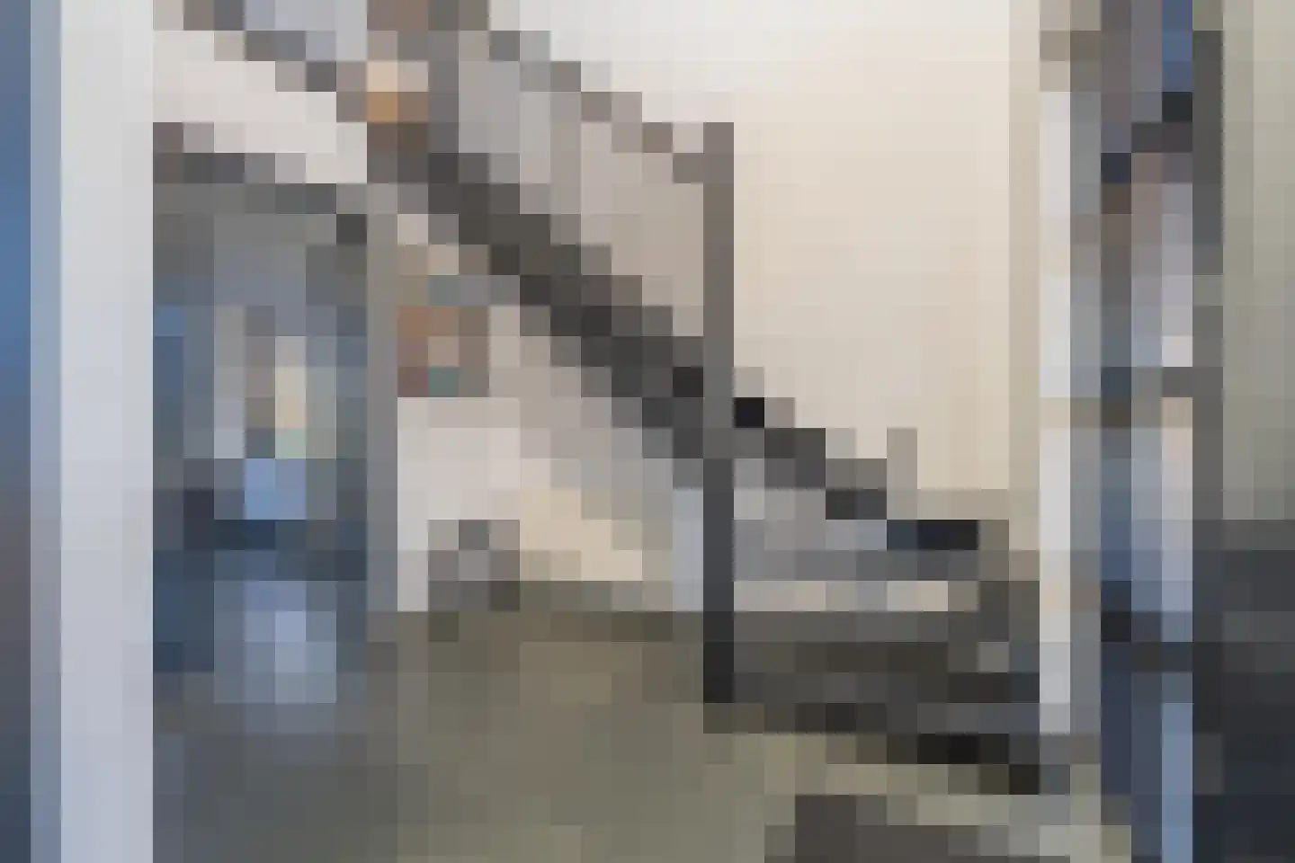 Vriezeweg 38 Deest thumbnail 44