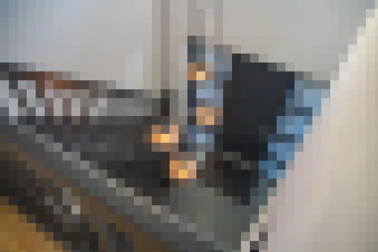 Vriezeweg 38 Deest thumbnail 45