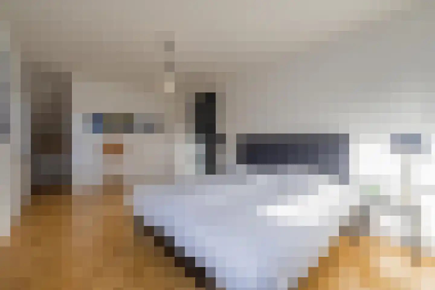Vriezeweg 38 Deest thumbnail 48
