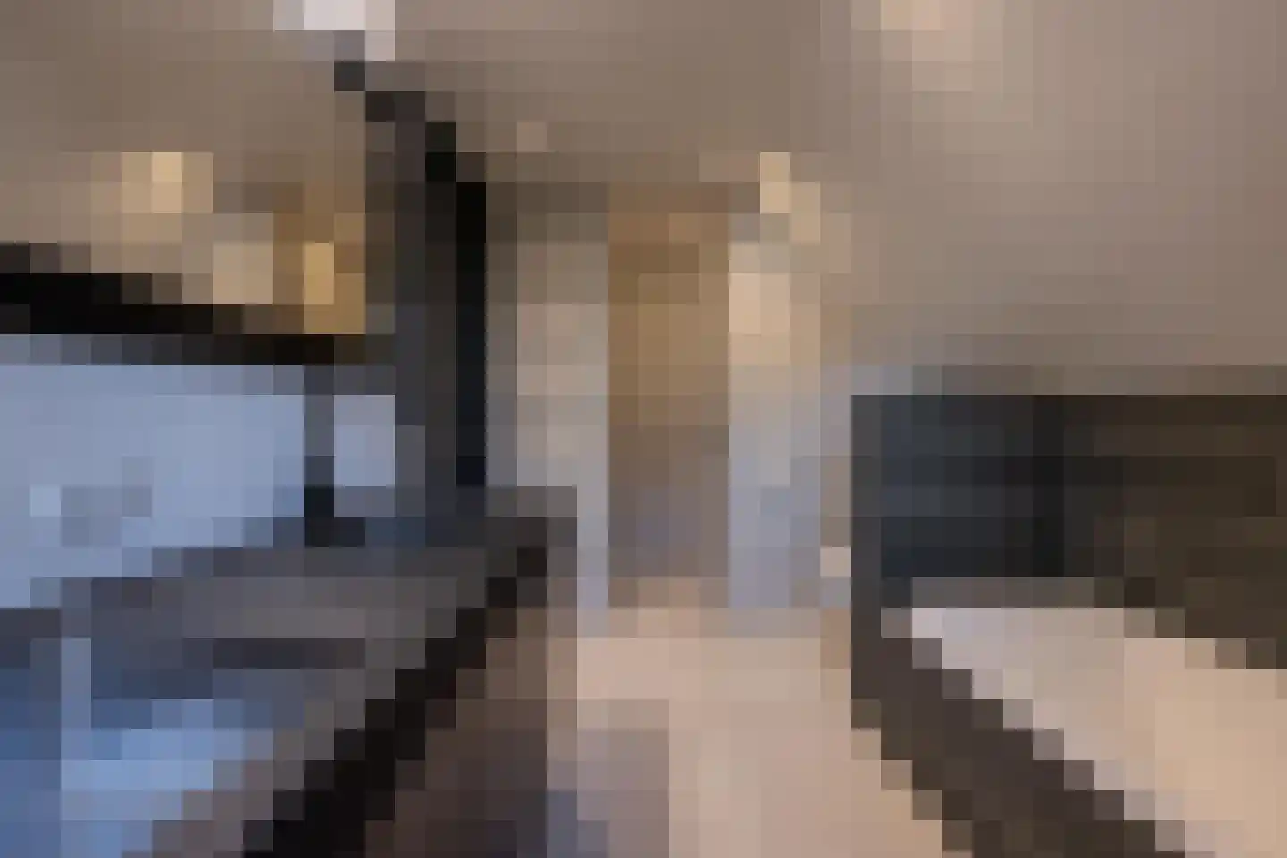 Vriezeweg 38 Deest thumbnail 52
