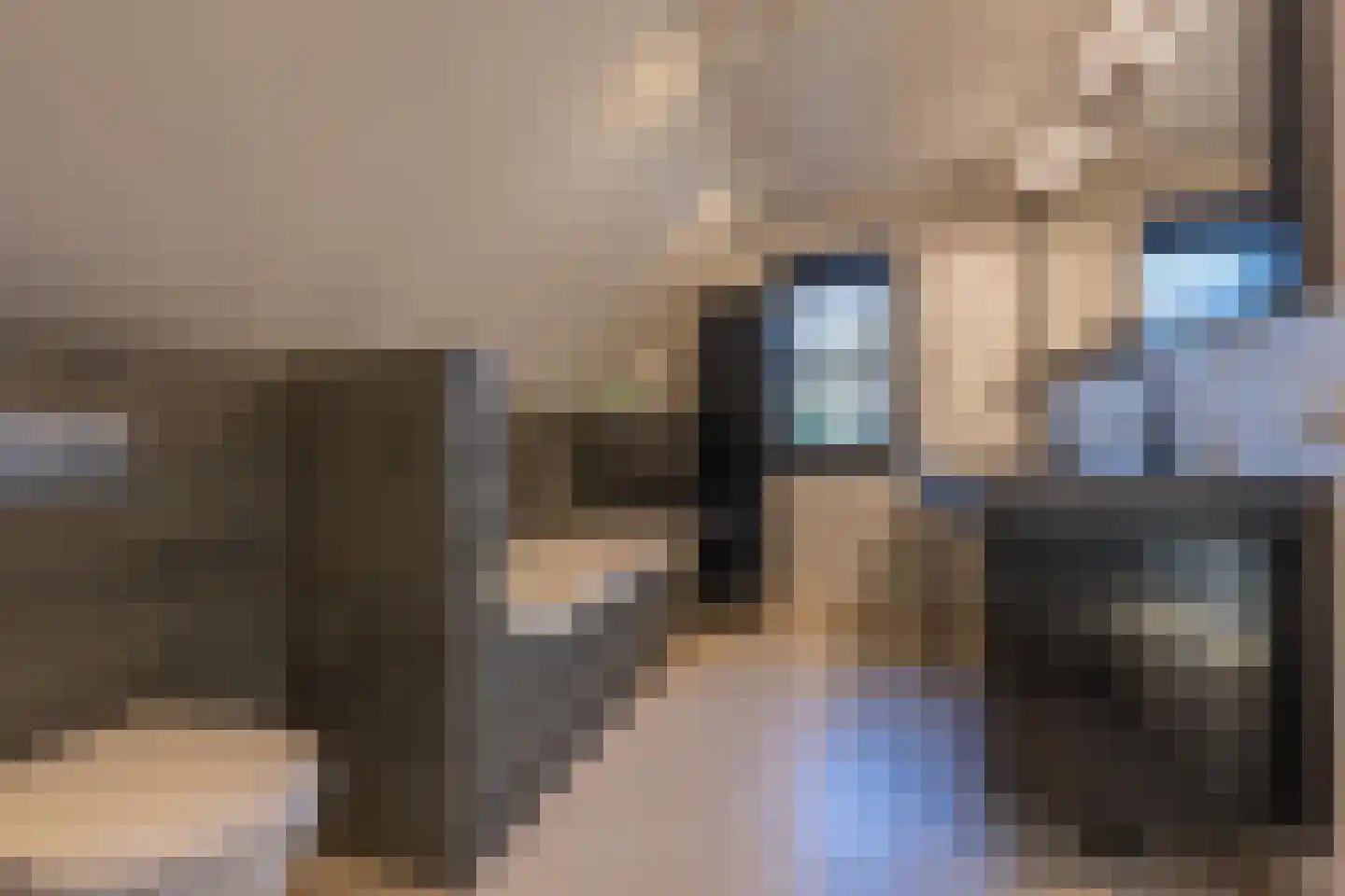 Vriezeweg 38 Deest thumbnail 54