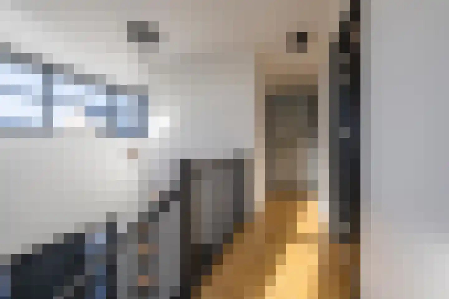 Vriezeweg 38 Deest thumbnail 61