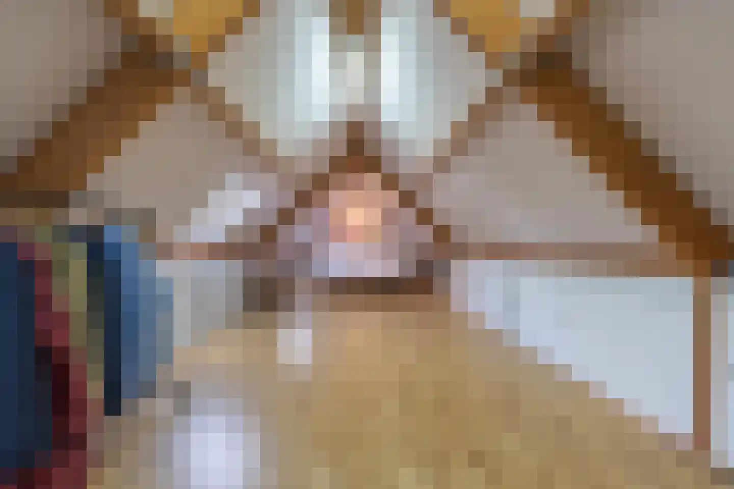 Vriezeweg 38 Deest thumbnail 63