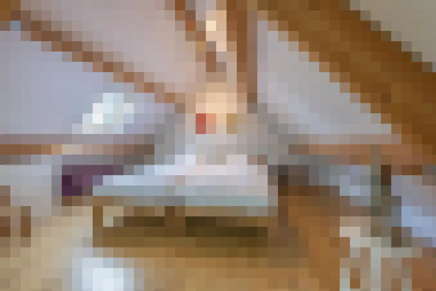 Vriezeweg 38 Deest thumbnail 64