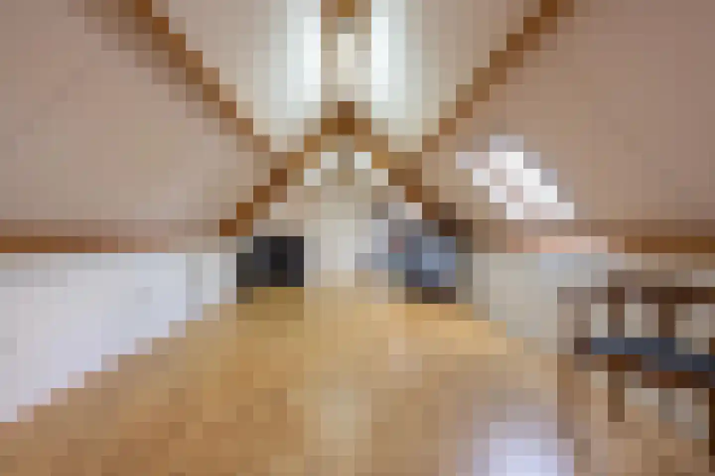 Vriezeweg 38 Deest thumbnail 65
