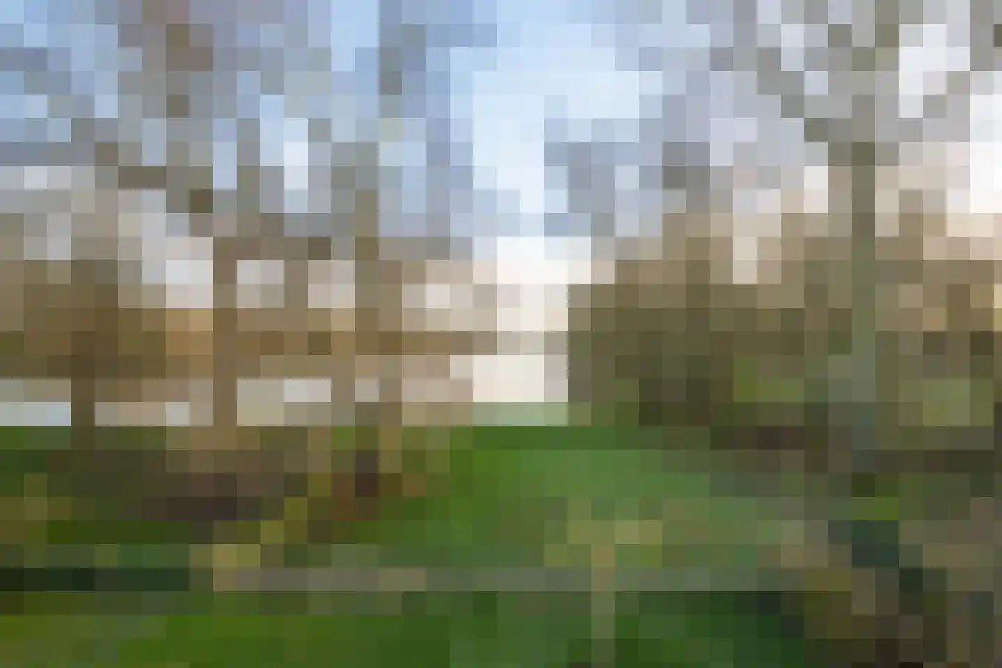 Vriezeweg 38 Deest thumbnail 69