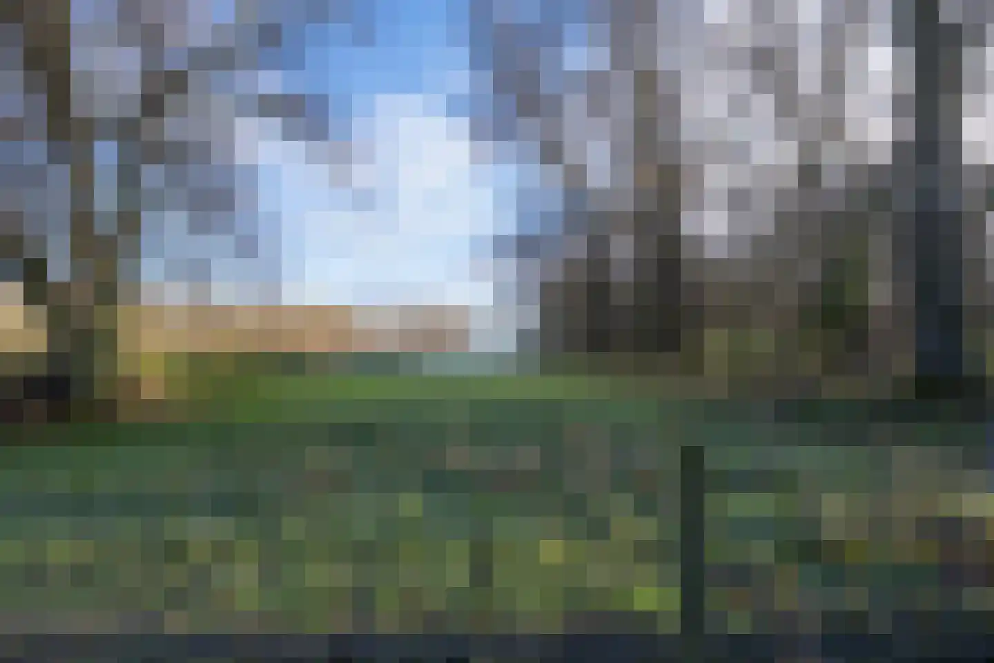 Vriezeweg 38 Deest thumbnail 77