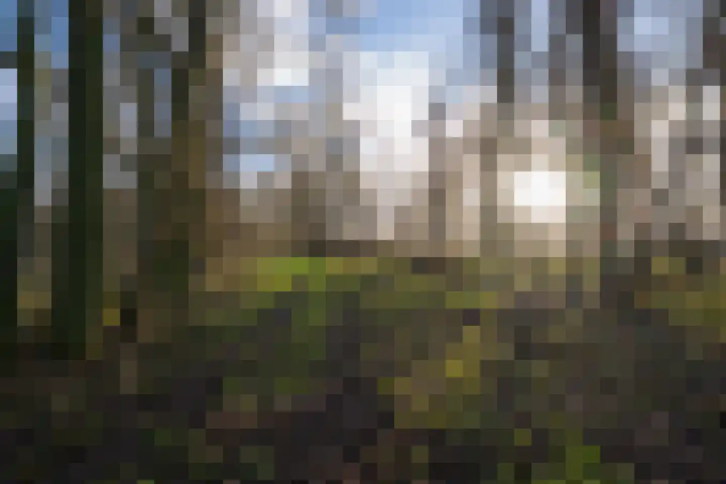 Vriezeweg 38 Deest thumbnail 79
