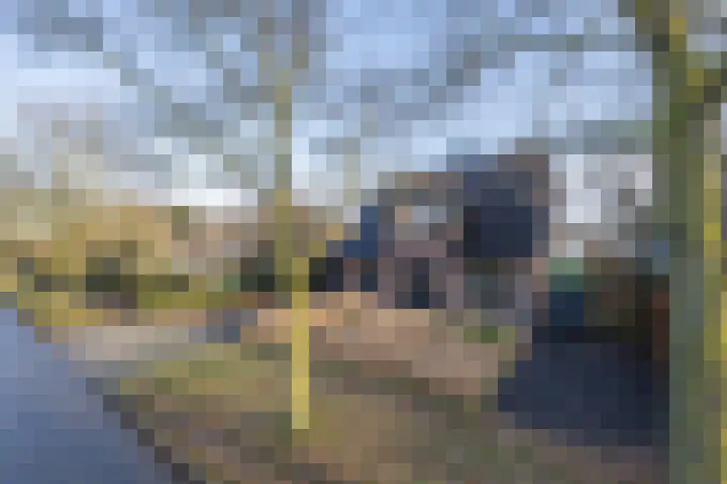 Vriezeweg 38 Deest thumbnail 88