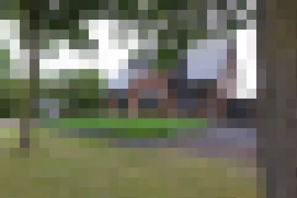Vriezeweg 38 Deest thumbnail 90