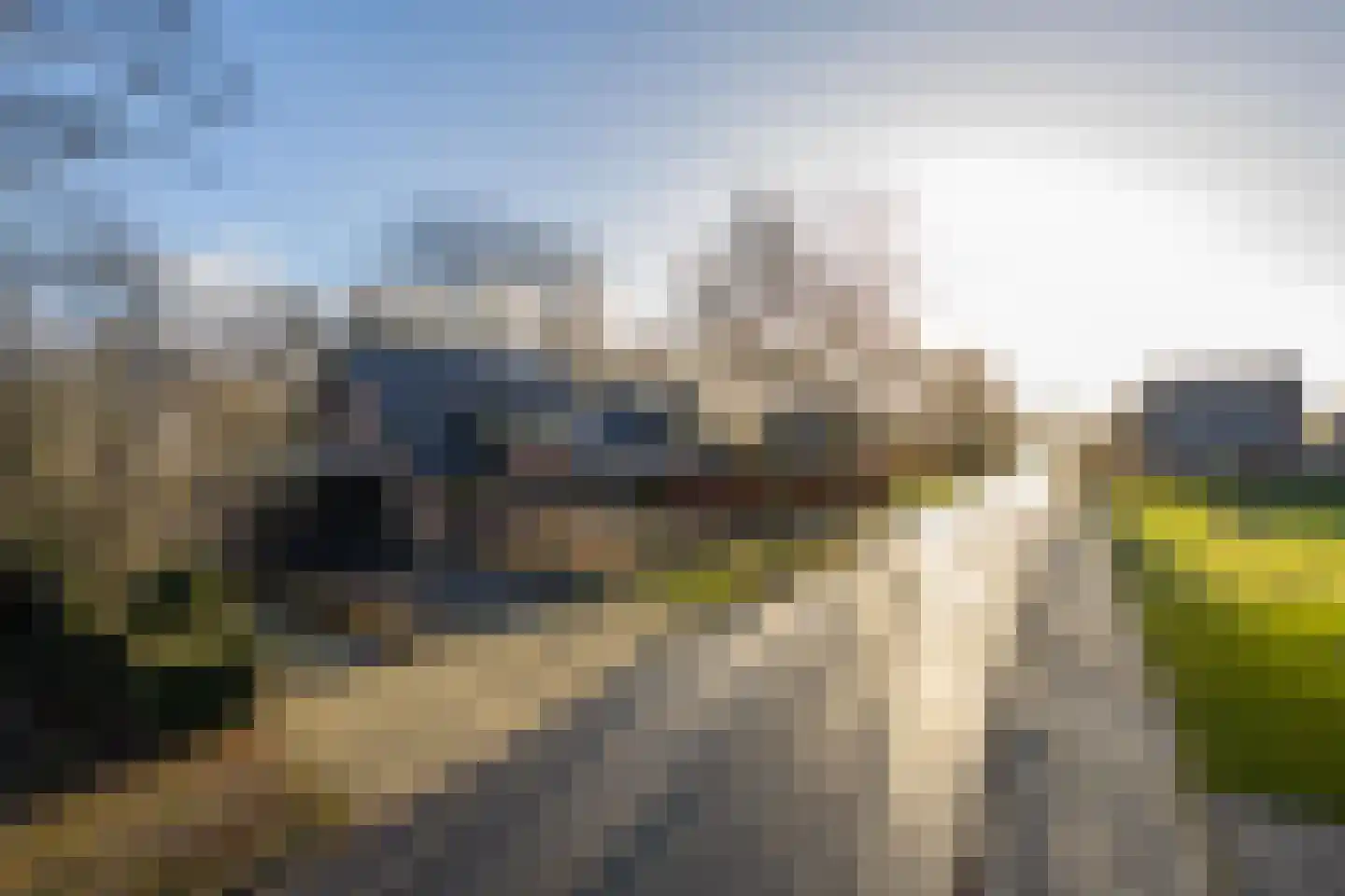 Vriezeweg 38 Deest thumbnail 92