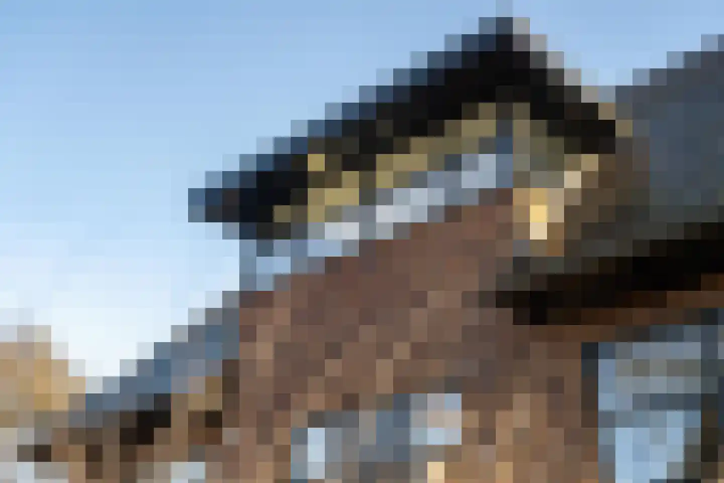 Vriezeweg 38 Deest thumbnail 95