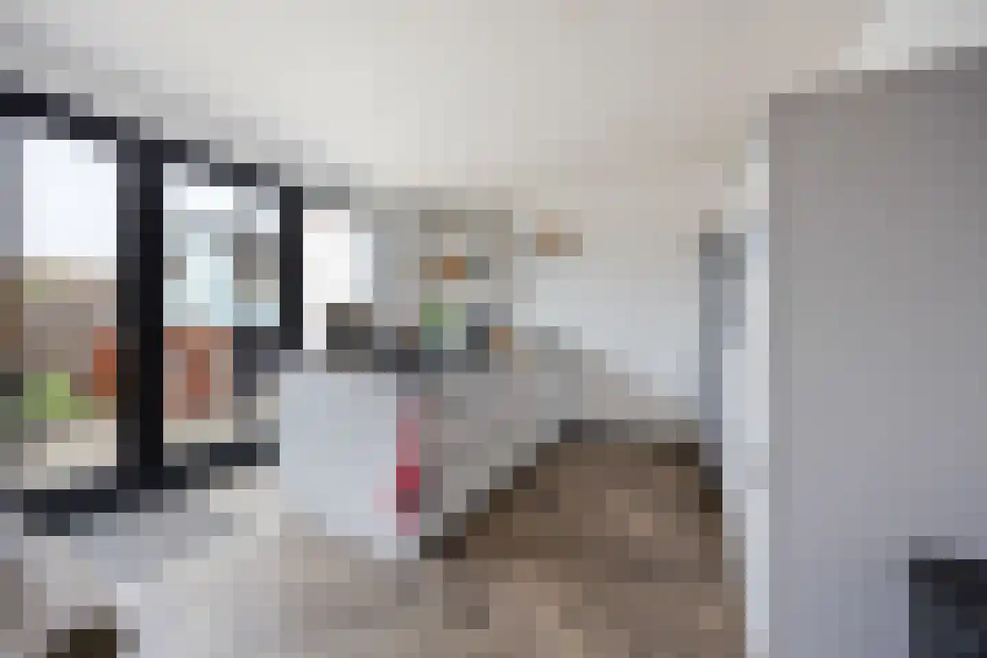 Vriezeweg 71 Deest thumbnail 11