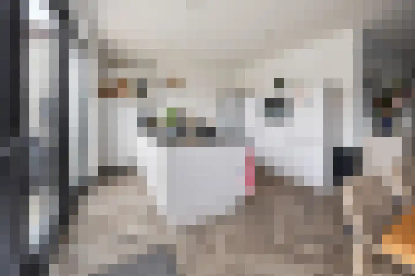 Vriezeweg 71 Deest thumbnail 12