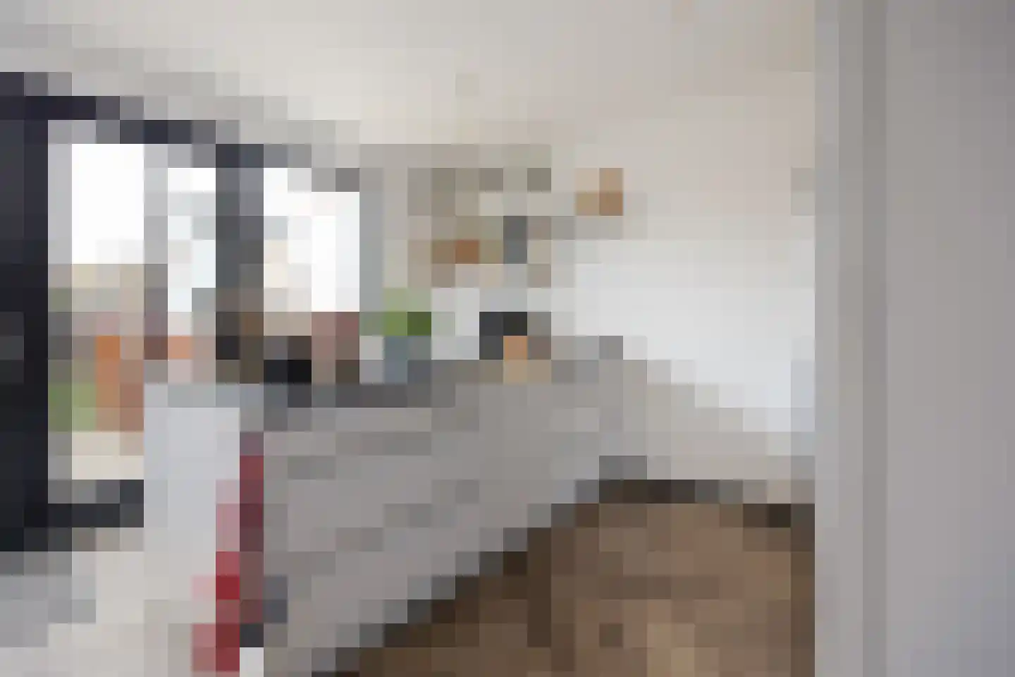 Vriezeweg 71 Deest thumbnail 13