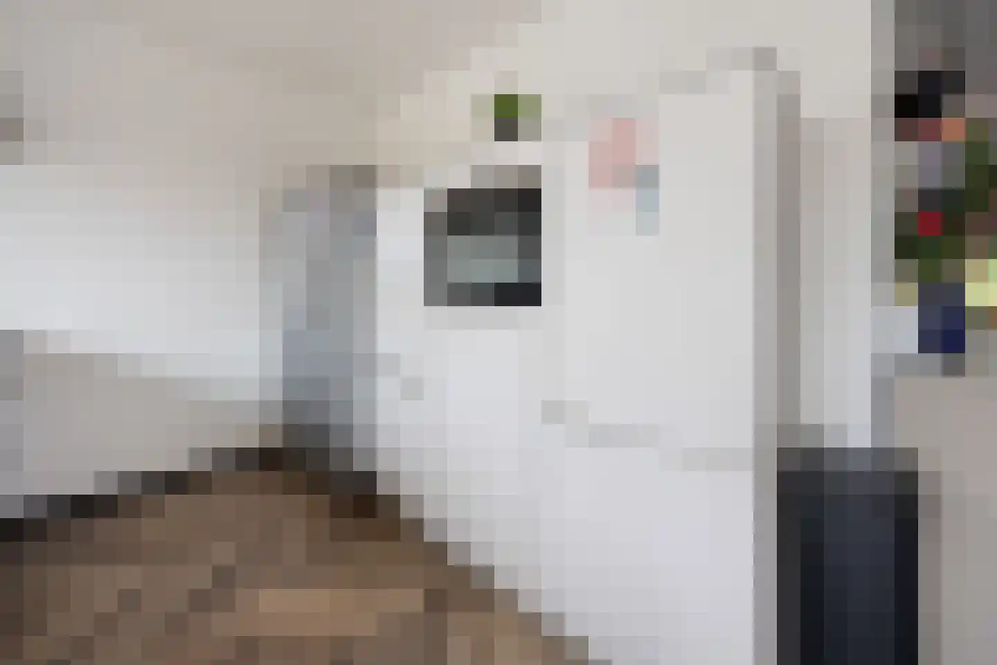 Vriezeweg 71 Deest thumbnail 14