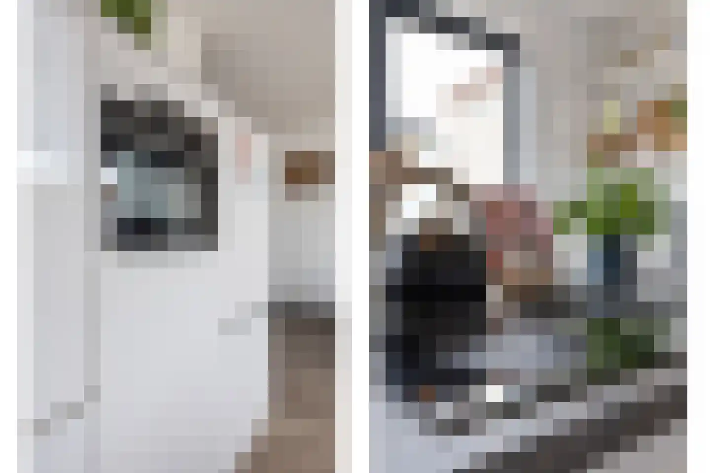 Vriezeweg 71 Deest thumbnail 15